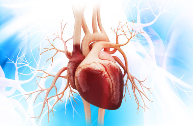 heart