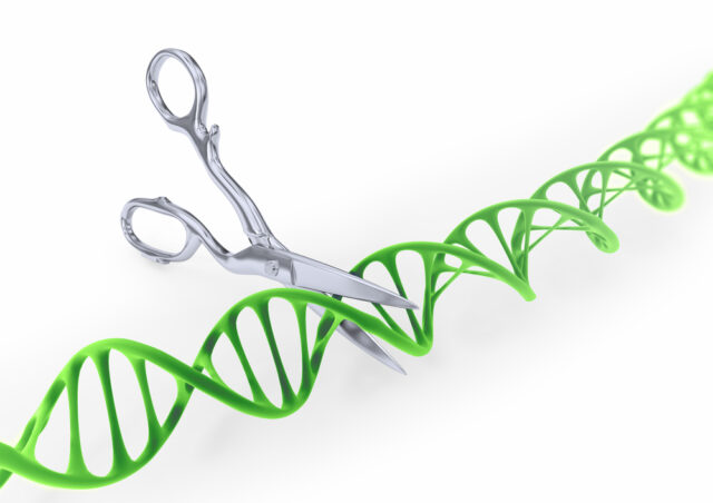 crispr