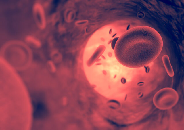 bloodvessels
