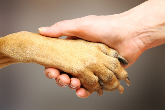 Paw_hand
