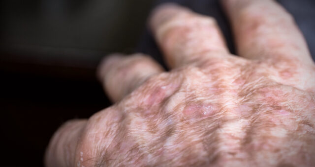 shutterstock_1449083531-2