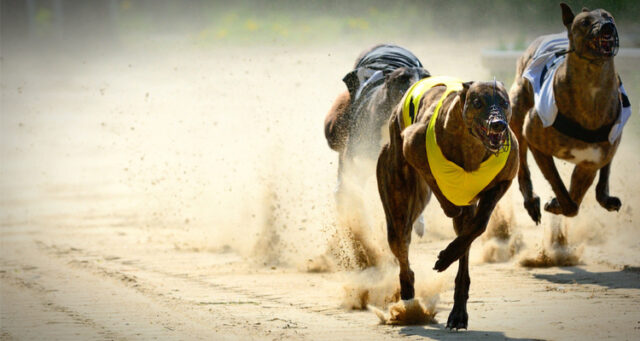 shutterstock_421844107