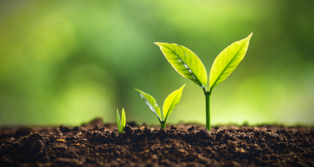 CoeginQ3 Coegin Pharma takes key steps for growth during Q3