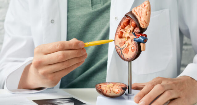 shutterstock_1970444882 Idogen