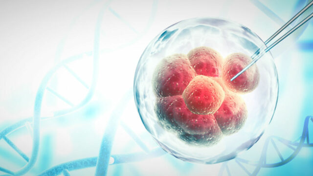 CAR T therapy revolution cancer CAR T therapy revolution cancer