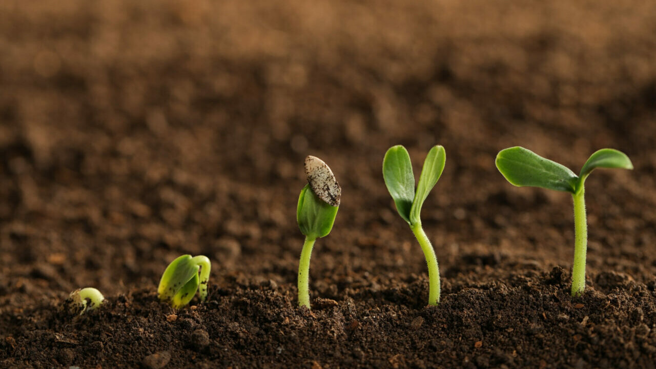Carbiotix vd om GRAS och den nya produktionsprocessen