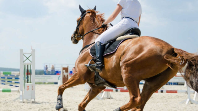 Invent Medic gets positive results in equestrian study