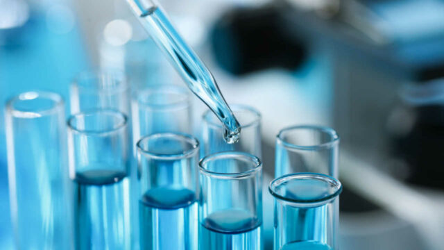 WntResearch-clinical-findings WntResearch co-founder talk about positive observations