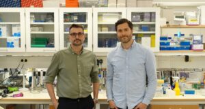 Synartro laddar upp inför klinik
