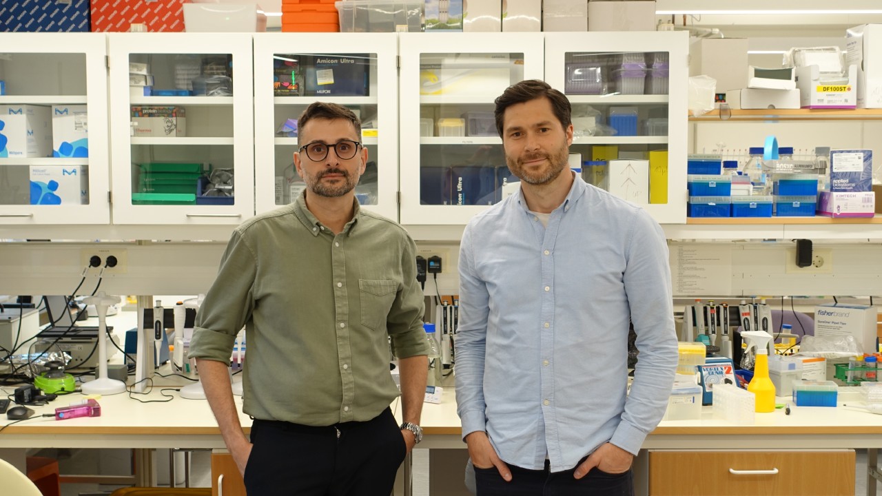 Synartro laddar upp inför klinik