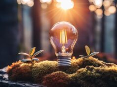 BioInvent immunotherapy 2.0