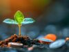 Curasight presents funding package
