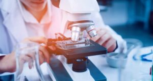 BioInvent förväntar sig ett fortsatt nyhetsrikt 2024