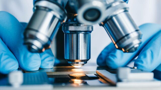 Lab LIpum