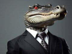 Alligator rights issue 2025