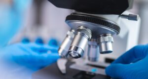 BioInvent prepares for a data-rich 2025