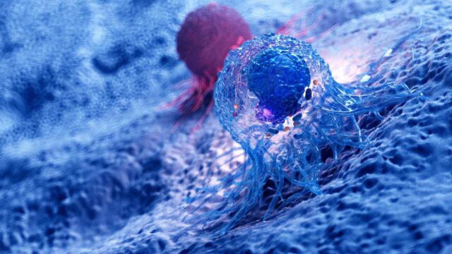 nästa-generations-cancerpreparat Ny läkemedelsklass utmanar Keytruda